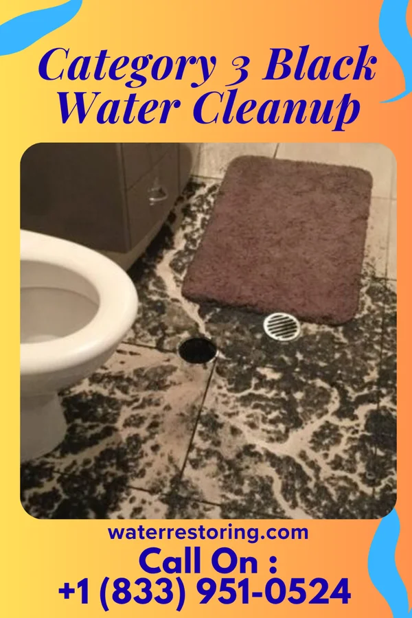Category 3 Black Water Cleanup in Zayante, CA